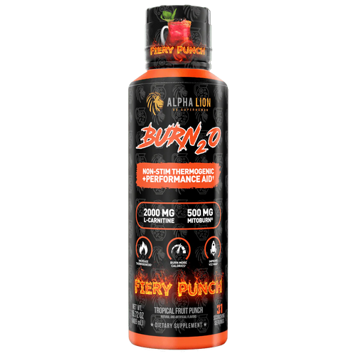 Burn 2O by Alpha Lion