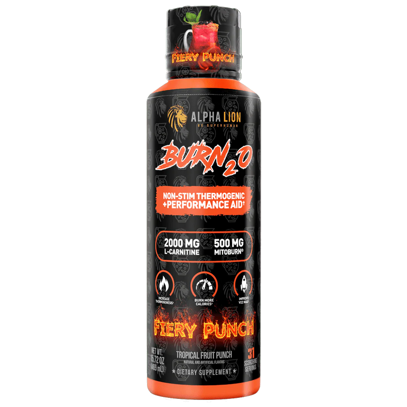 l carnitine and creatine together for weight loss The Role of Fucoxanthin in Non-Alcoholic Fatty Liver Disease main image 1