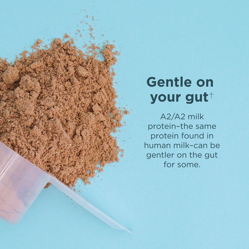 Ancient Nutrition Grass-Fed Whey Protein Powder and Collagen Peptides featuring A2/A2 gut friendly milk protein