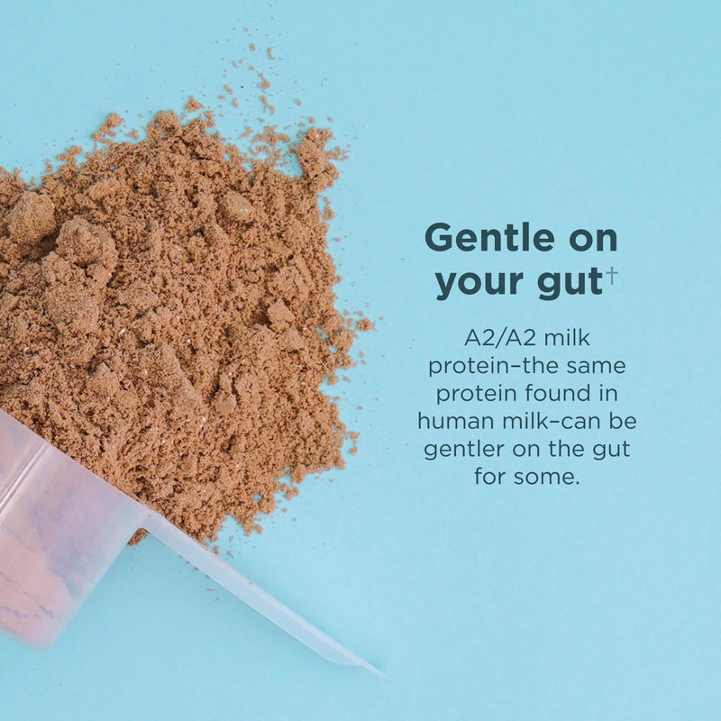 Ancient Nutrition Grass-Fed Whey Protein Powder and Collagen Peptides featuring A2/A2 gut friendly milk protein