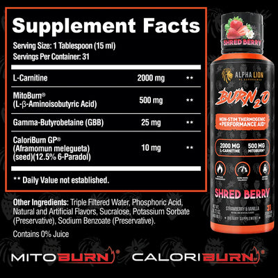 Burn 2O by Alpha Lion