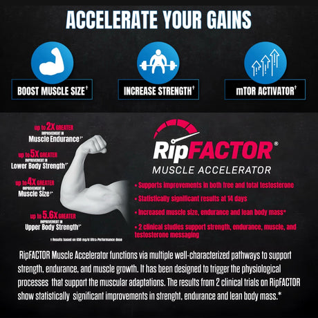 Hardcore Bulk benefits