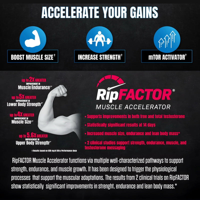 Hardcore Bulk benefits