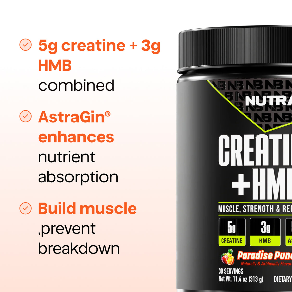NutraBio Creatine + HMB — 5g Creatine Monohydrate + 3g HMB