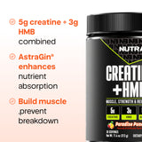 NutraBio Creatine + HMB — 5g Creatine Monohydrate + 3g HMB